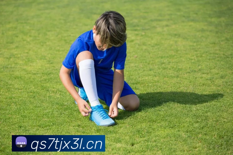 米乐网页版登录官网平台生态图