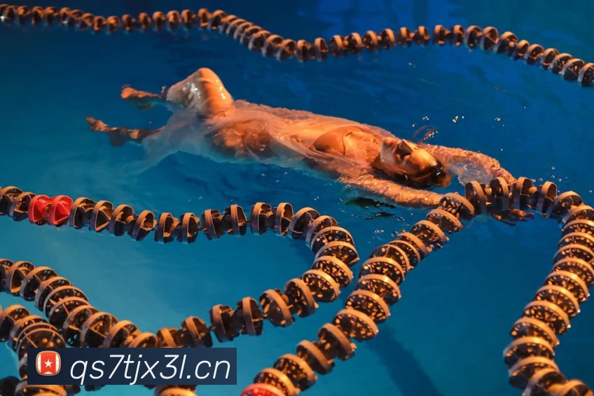 米乐网页版登录官网APP 封面图